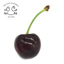 食品サンプル キーホルダー 食べちゃいそうな アメリカンチェリー 食べ物 ストラップ