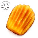 食品サンプル マグネット 食べ物 食べちゃいそうな マドレーヌ
