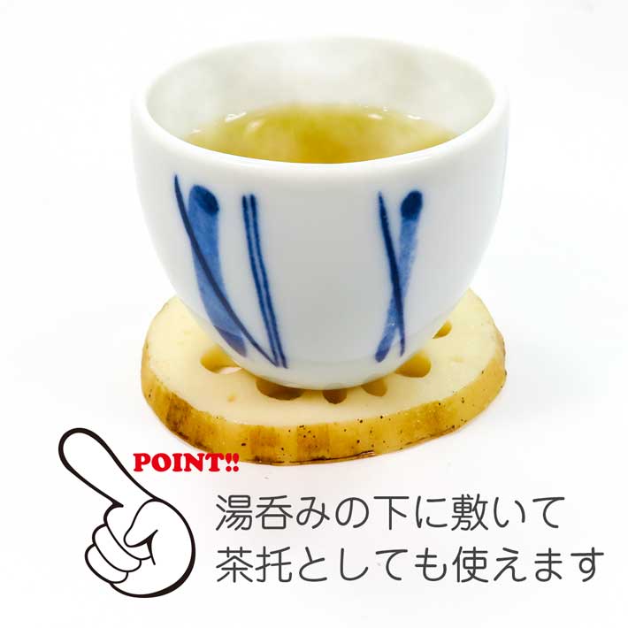 食品サンプル 食べちゃいそうな れんこん コースターの紹介画像3