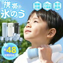 【2025年モデル・超絶冷感】氷のう 冷感 スティック ミニ 氷嚢 ネッククーラー 冷却 アイス パック 首を冷やす 保冷 氷のう 水筒 アイス バッグ 子供用...