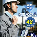 【夏応援セール・1680円/個×10個】氷のう 氷嚢 アイス パック 適格請求書発行可能 携帯 ひょうのう 冷却 ボルト アイシング バッグ 体温調節 冷感 ス...
