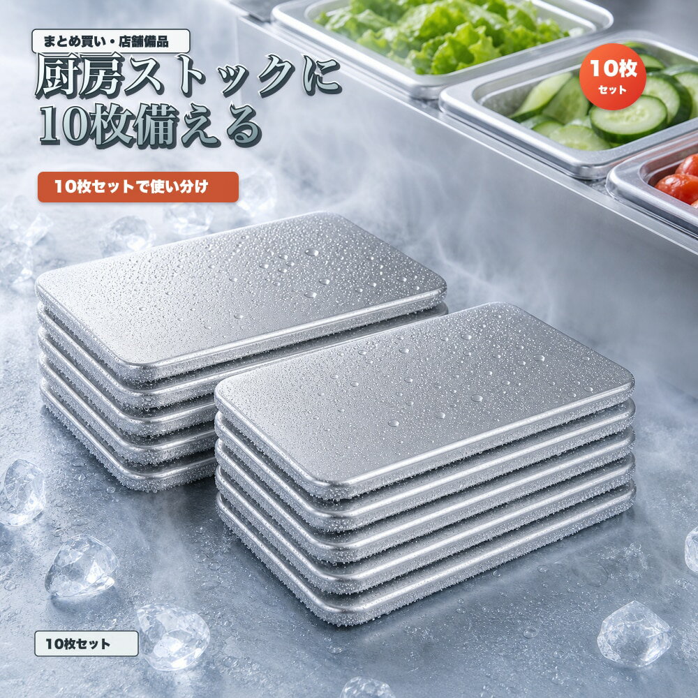 10枚セット 保冷プレート 厨房備品 飲食店 トレー SUS304 ステンレス 保冷剤 薄型 水洗い 繰り返し使える 冷凍庫 保冷バッグ
