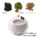 【 28日まで5%OFFクーポン！ 】 SASSO サッソ キャンドル + 苔キット ゼラニウム グリーンローズ ローズゼラニウム 香り アロマキャンドル パラフィンワックス 苔キット 乾燥山苔 ヤマゴケ 夢想土 ハイドロボール 母の日 ホワイトデー