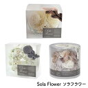 【 4/25はポイント10倍！ 】 Sola Flower ソラフラワー 母の日 ホワイトデー イン ...