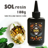 SOL RESIN 100g 쥸 UV쥸 쥸  Υ磻 LED UV  ϥɥᥤ 쥸