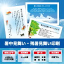 【暑中見舞い ハガキ】 官製ハガキ 印刷 4枚から 差出人 校正確認無料 残暑見舞い はがき 葉書 挨拶状 メール便 送料無料 選べる挨拶文 書体 s-t005k 2