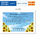 【暑中見舞い ハガキ】 官製ハガキ 印刷 フルカラー 4枚から 差出人 校正確認無料 残暑見舞い はがき 葉書 挨拶状 メール便 送料無料 選べる挨拶文 書体 ...