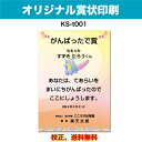 【オリジナル賞状】 がんばったで賞 オリジナル文で作成 卒園証書 修了証書にも使えます お子様向け かわいいデザイン 保育園 幼稚園 園児が喜ぶ 証書 A4 厚...