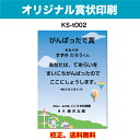【オリジナル賞状】 がんばったで賞 オリジナル文で作成 卒園証書 修了証書にも使えます お子様向け かわいいデザイン 保育園 幼稚園 園児が喜ぶ 証書 A4 厚...