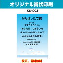 【オリジナル賞状】 がんばったで賞 オリジナル文で作成 卒園証書 修了証書にも使えます お子様向け かわいいデザイン 保育園 幼稚園 園児が喜ぶ 証書 A4 厚...