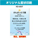 【オリジナル賞状】 がんばったで賞 オリジナル文で作成 卒園証書 修了証書にも使えます お子様向け かわいいデザイン 保育園 幼稚園 園児が喜ぶ 証書 A4 厚...