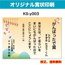【オリジナル賞状】 がんばったで賞 オリジナル文で作成 卒園証書 修了証書にも使えます お子様向け かわいいデザイン 保育園 幼稚園 園児が喜ぶ 証書 A4 厚...