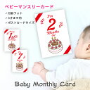 【月齢 フォト】 ベビー マンスリーカード 3才まで使える 月齢フォト カード ハガキサイズ 送料無料 出産祝い 誕生日 記念日 初節句 お祝い かわいい お...
