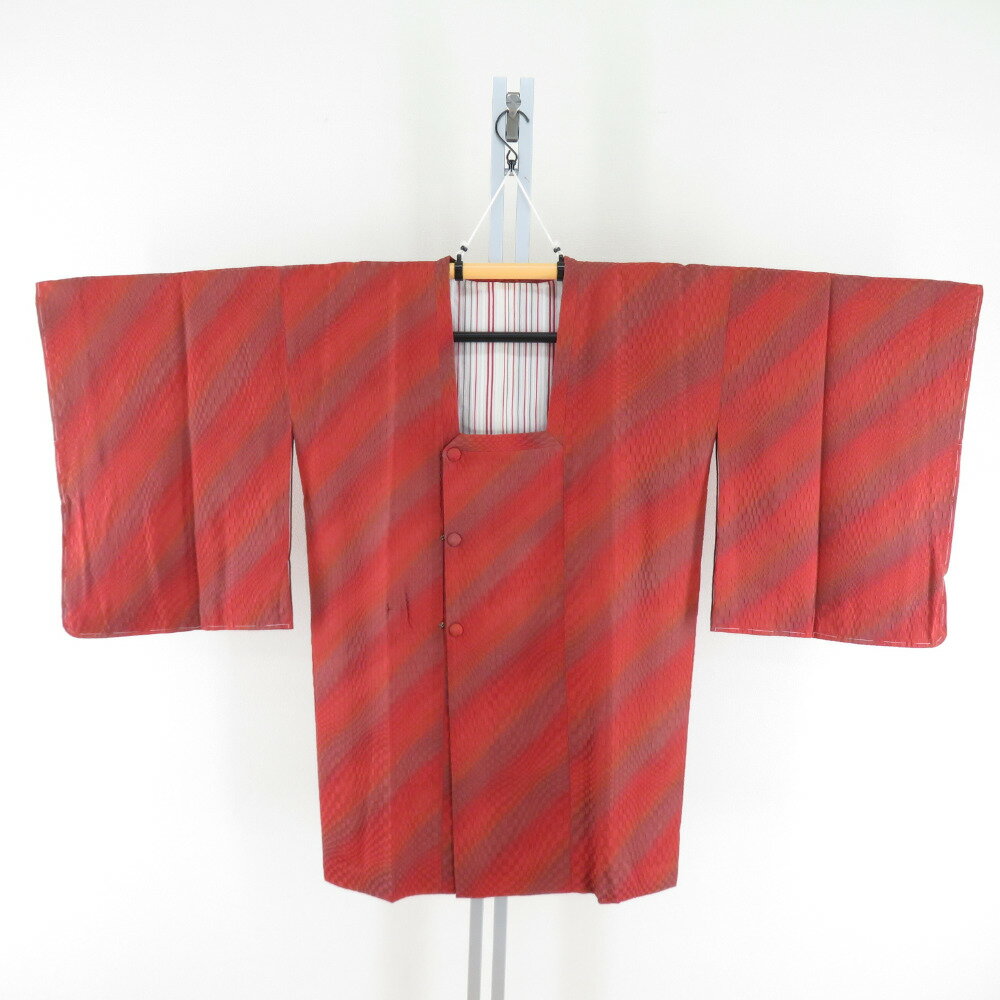 ƻ  Ĥ쿥 㿧x졼 ܤ  ʪ 褱 奢 Ⱦ87.5cm ʡš
