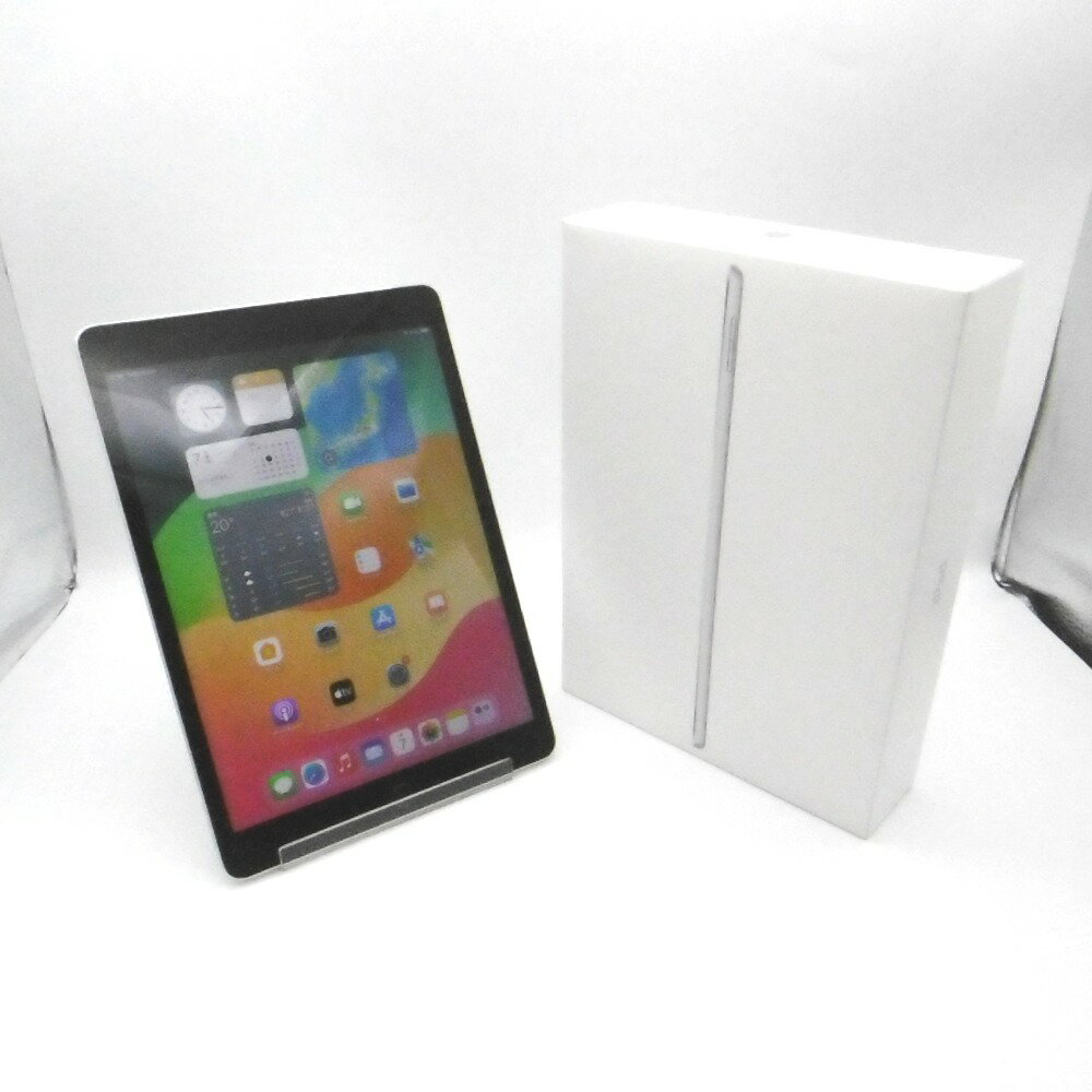 Apple iPad 10.2 9 Wi-Fi+Cellular 256GB MK4H3J/A С docomo Ƚ꡻