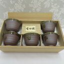 有田焼 食器 肥前有田 温土焼 茶器セット 湯呑 ゆのみ 5点セット 箱有
