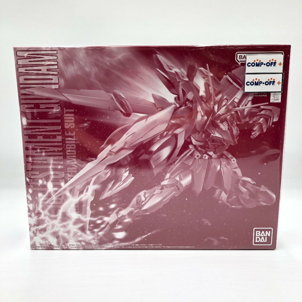 MG 1/100 テスタメントガンダム【再販】 | ガンダムシリーズ