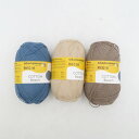毛糸 REGIA レギア Cotton Beach 3玉セット 100g玉巻 420m ブルー ベージュ ブラウン ソックヤーン 未使用品