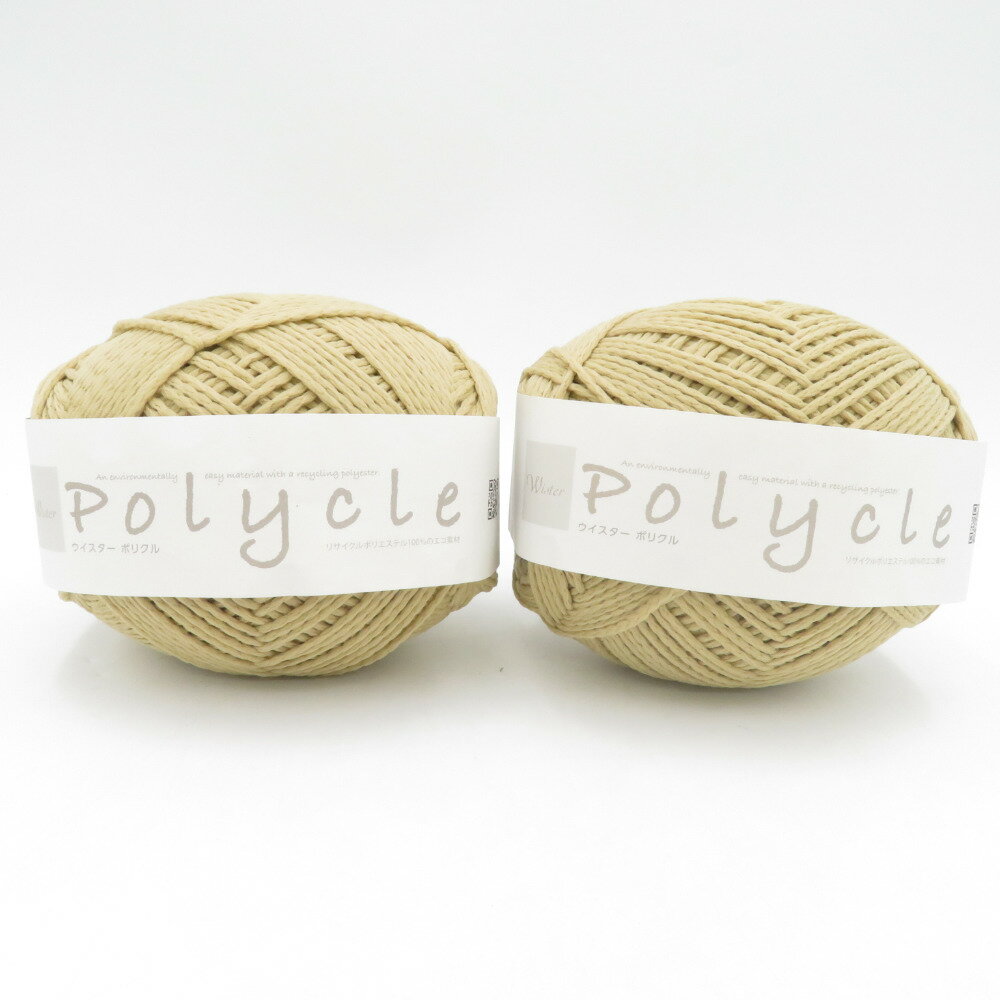 毛糸 Wister ウイスターポリクル 2玉セット 1玉約80g 1番色 ベージュ 藤久 バッグ帽子作り 雑貨向き 春夏 未使用品【中古】