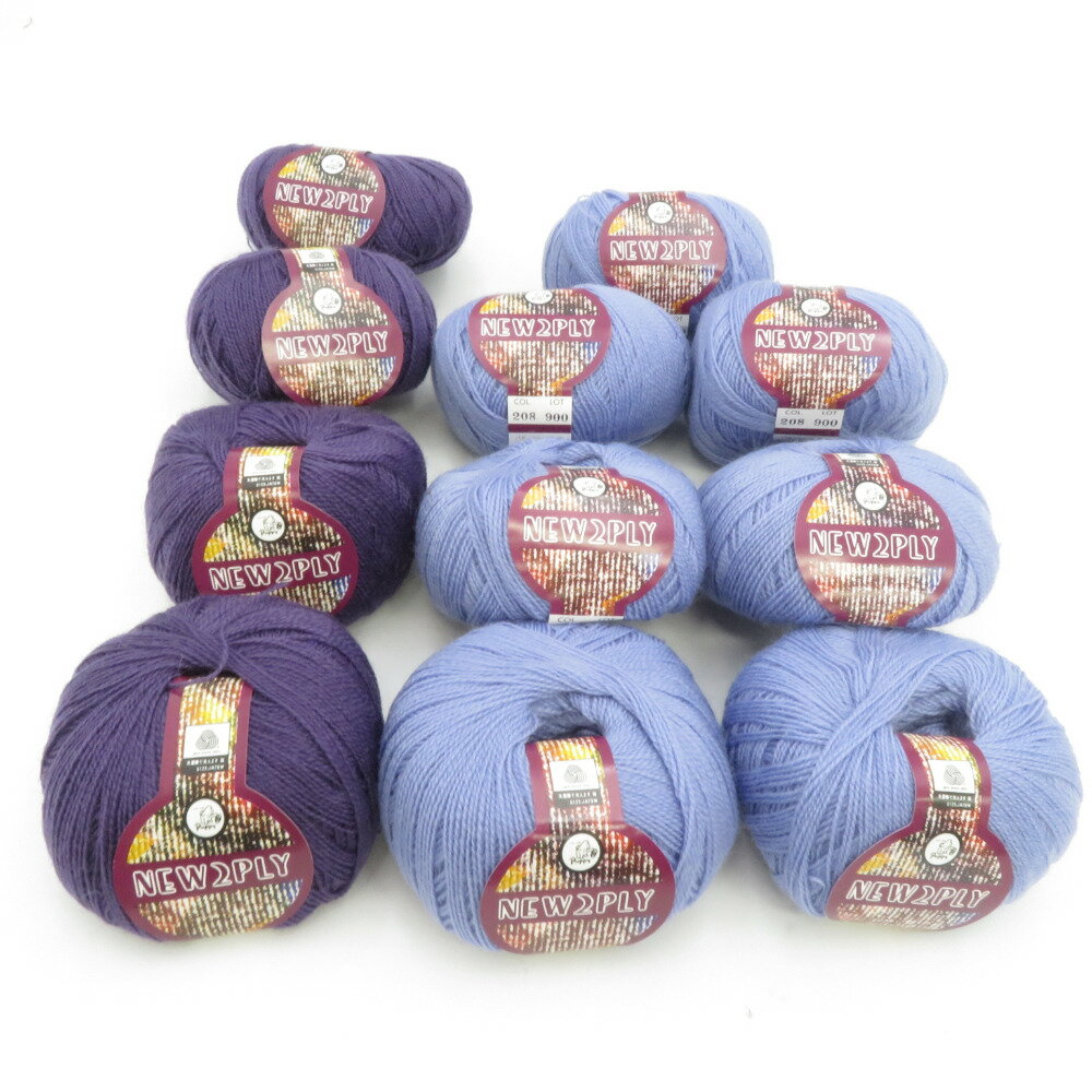 PUPPY (パピー) 毛糸 NEW 2PLY ニューツープライ 11玉セット 218番色 208番色 1玉25g玉巻 約215m ウール100% 極細 秋冬 未使用品【中古】