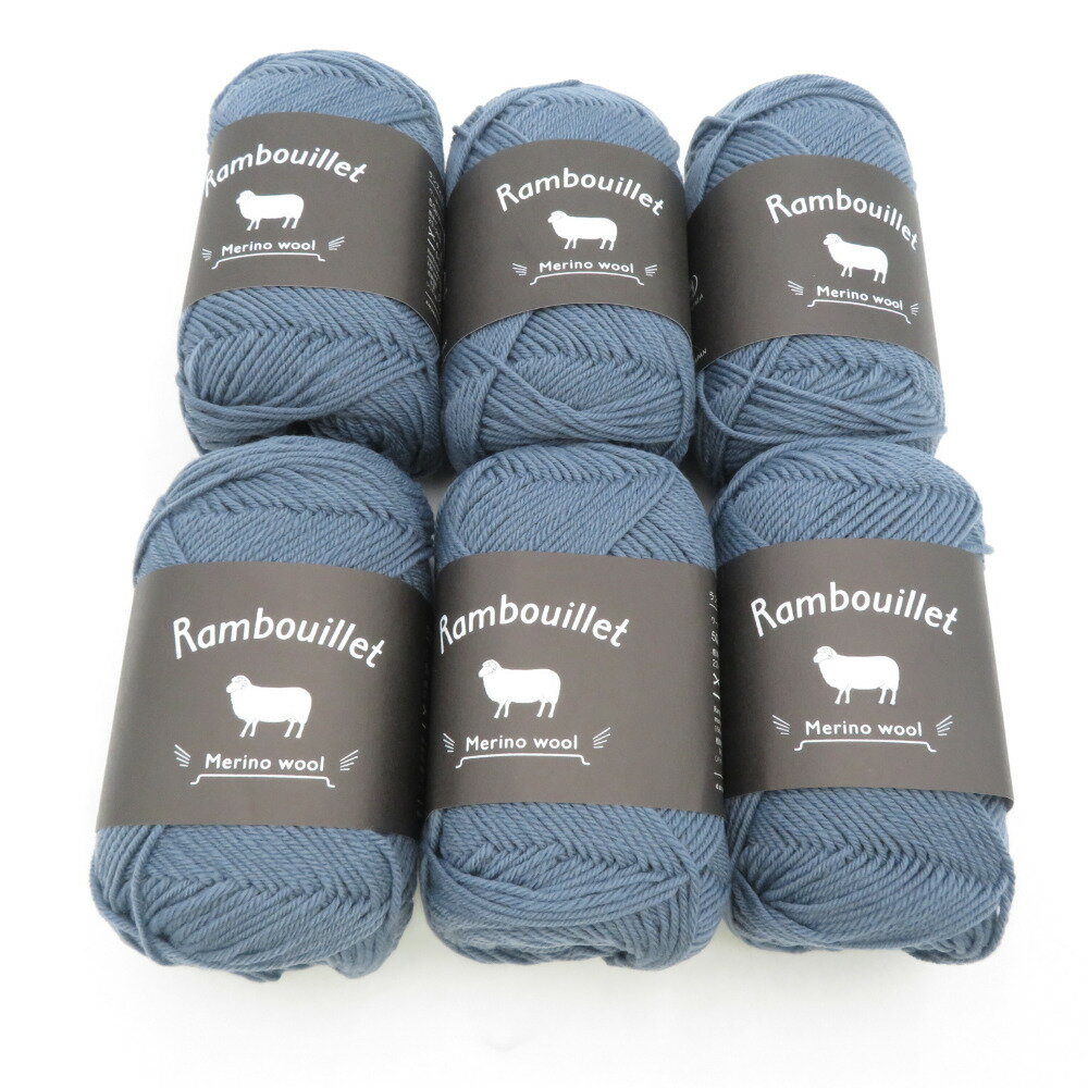 DARUMA (ダルマ) 毛糸 ランブイエメリノウール 6玉セット 5番色 アッシュブルー 1玉50g 約145m メリノウール100% 日本製 横田 合太 秋冬 未使用品【中古】