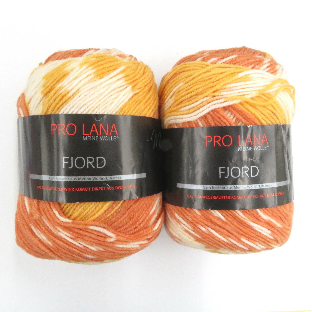 毛糸 PRO LANA プロラナ FJORD 82番色 2玉セット1玉100g 350m ソックヤーン 秋冬 未使用品【中古】
