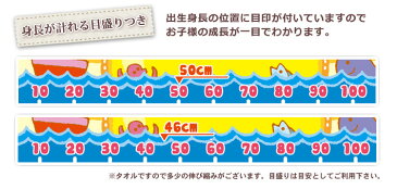 出産祝い 名入れ バスタオル かわいい手描き風デザイン 太陽 名前入り プレゼント ベビー 赤ちゃん 男の子 女の子 孫 今治製 大判 湯上りタオル タオルケット 日本製 送料無料 名入れ無料 百日祝い ココロコ