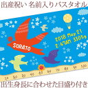 出産祝い 名入れ バスタオル 身長計 目印付き かわいい手描き風デザイン バード 名前入り プレゼント 男の子 女の子 ベビー 赤ちゃん 孫 今治製 大判 湯上りタオル タオルケット 日本製 送料無料 名入れ無料 百日祝い お七夜 ブランド ココロコ