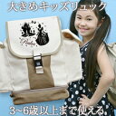 入園祝い 誕生日 プレゼント 名入れ 名前入り リュック 大きめ Lサイズ 10歳まで対応 キッズリュック ガールズデザイン シンデレラ お姫様 女の子 小学校...