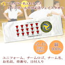 卒団記念品 ドッジボール 卒団 記念品 卒部記念品 【10枚以上購入で1枚3980円】 フルカラー名入れタイプ(背景は白) ドッジボール部 ユニフォーム入り 名前 背番号 日付 団体名 今治製プチフェイスタオル 25x70cm 日本製 今治 タオル プレゼント 男子 女子 卒団式 ブランド