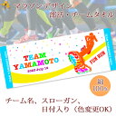 チームタオル 部活タオル マラソン (タイプA) 記念品【10枚以上購入で1枚2950円】 名入れ チーム名 スローガン入り シルエットデザイン 今治製プチフェイスタオル 名前入り 27x70cm 日本製 今治 タオル 名入れ無料 大会出場記念 県大会 国体 プレゼント 男子 女子 ブランド