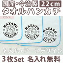 入園祝い 名入れ 名入れ無料 名前入り タオルハンカチ アース 3枚組み 国産 今治製 タオル 22cmx22cm 男の子 女の子 誕生日 プレゼント 誕生日プレゼント 通常6-7営業日お届け 百日祝い お七夜 【メール便対応】 ブランド ココロコ