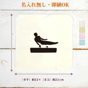 【即納 名入れ無し】 卒団 記念品 誕生日 プレゼント タオルハンカチ ハンドタオル スポーツシルエット 体操B あん馬 趣味 部活 体操部 卒部 卒業 男子 女子 グッズ おもしろ 面白 忘年会 景品 ハンカチタオル ミニタオル メンズ レディース 男性 女性 ブランド
