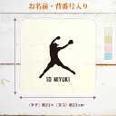 【名入れ無料】 卒団 記念品 プレゼント タオルハンカチ ハンドタオル 名入れスポーツシルエット ソフトボールA ピッチャー 投手 趣味 部活 ソフトボール部 ...