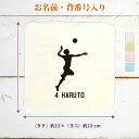 【名入れ無料 背番号入り】 卒団 記念品 プレゼント タオルハンカチ ハンドタオル スポーツシルエット バレーボールD 排球 趣味 部活 バレーボール部 バレー...