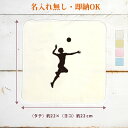 【即納 名入れ無し】 卒団 記念品 誕生日 プレゼント タオルハンカチ ハンドタオル スポーツシルエット バレーボールD 排球 趣味 部活 バレー部 卒部 卒業...