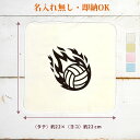 【即納 名入れ無し】 誕生日 プレゼント タオルハンカチ ハンドタオル 炎のバレーボール 火の玉 バレー 排球 部活 バレーボール部 バレー部 男子 女子 グッ...