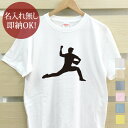 【即納 名入れ無し】 大人用 Tシャツ 誕生日プレゼント スポーツシルエット 野球D ピッチャー 投手 趣味 部活 野球部 男子 女子 グッズ おもしろ 面白 ...