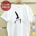 【即納 名入れ無し】 大人用 Tシャツ 誕生日プレゼント スポーツシルエット 体操A 鉄棒 趣味 部活 体操部 男子 女子 グッズ おもしろ 面白 忘年会 余興...