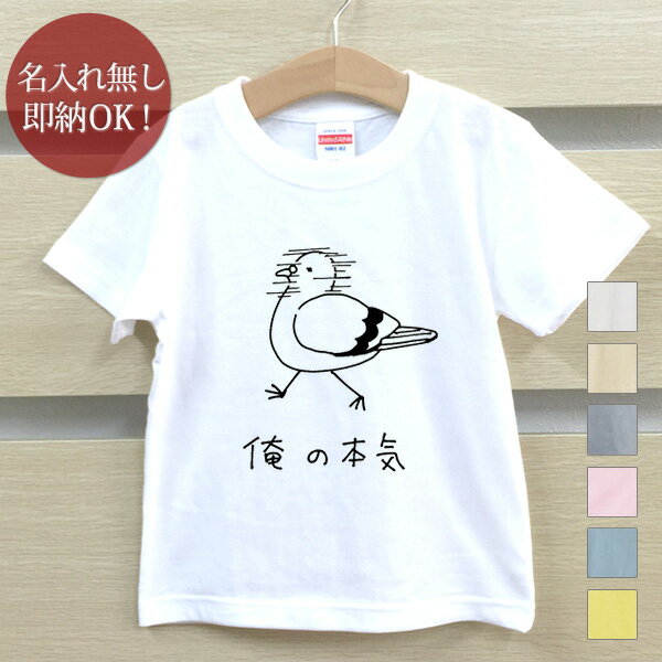 【即納 名入れ無し】 キッズ ベビー Tシャツ 誕生日プレゼント 鳩 ハト 鳥 動物 俺の本気 グッズ おもしろ 面白 忘年会 余興 景品 男の子 女の子 半袖 服 春夏 メール便送料無料 ブランド ココロコのサムネイル