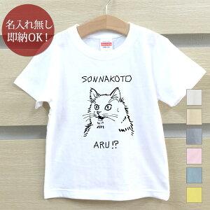 【即納 名入れ無し】 キッズ ベビー Tシャツ 誕生日プレゼント そんなことある? おどろき猫 猫 疑問 不思議 ネコ 猫グッズ 猫tシャツ 動物 おもしろ 面白 忘年会 余興 景品 男の子 女の子 半袖 服 春夏 メール便送料無料 ブランド ココロコ