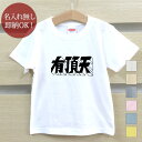 【即納 名入れ無し】 キッズ ベビー Tシャツ 誕生日プレゼント 有頂天 漢字 文字 テキスト おもしろ 面白 忘年会 余興 景品 男の子 女の子 半袖 服 春夏 メール便送料無料 ブランド ココロコ