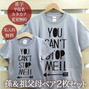 孫＆祖父母でおソロのデザイン半袖Tシャツです。孫＆祖父母それぞれの「お名前」が入ります。セット内容：名入れキッズTシャツ（子供用）1着・名入れTシャツ（大人用）1着★お子様のお名前とデザインが合体★ココロコではデザイナーが文字のバランスを調整して絵柄の中にお名前やお誕生日の文字を入れて一点ずつ専用のデザインを作成しています。ですから仕上がりも奇麗に、まるで自分のブランドのようなオリジナルアイテムを作ることができるんです！セミオーダーメイドで作る一点ものの名入れグッズは★世界でたった一つだけの贈り物★二人目三人目の出産祝いでも他とかぶらないお祝いとして喜ばれています。■ Item Specサイズ80/90/100/110/120/130/140/150/160/メンズS/メンズM/メンズL/メンズXL/メンズXXL/レディースG-S/レディースG-M/レディースG-L素材綿100％6.2オンス〜5.6オンス・天竺編みおもな用途誕生日プレゼント 出産祝い 出産内祝い 6か月祝い（ハーフバースデー）衣装 母の日のプレゼント 父の日のプレゼント バレンタイン パジャマ 部屋着 運動会プリント前イメージ確認について(有料300円)プリント前イメージの確認を希望の方は備考欄へ「イメージ確認希望(+300円)」の旨ご記入下さい。納期にプラス約3営業日いただき、メールにてデザイン画像をお知らせします。もしここで名入れ情報の変更がある場合は2回まで無料で修正が可能です。■ご注意　イメージ確認をご希望の場合「画像を確認し、制作OKのお返事」を頂くまで実物の商品制作はいたしません。当店からのメールは必ずご確認ください。↑ 大人用・子供用、お揃いのデザインがセットでお得！「名前入り親子ペアTシャツ」の一覧はこちら ↑