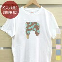 【即納 名入れ無し】 大人用 Tシャツ 誕生日プレゼント アルファベット R イニシャル アイス シャーベット 食べ物 グッズ おもしろ 面白 忘年会 余興 景...