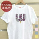 【即納 名入れ無し】 大人用 Tシャツ 誕生日プレゼント アルファベット W イニシャル アイス シャーベット 食べ物 グッズ おもしろ 面白 忘年会 余興 景品 メンズ レディース 春夏 メール便送料無料 ブランド