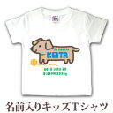 Tシャツ 誕生日 プレゼント 出産祝い 名入れ 名前入り キッズ ベビー 半袖 手描き風デザイン い ...