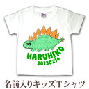 Tシャツ 誕生日 プレゼント 出産祝い 名入れ 名前入り キッズ ベビー 半袖 動物 恐竜 ステゴザウルス 男の子 服 誕生日プレゼント 百日祝い お七夜 春夏...