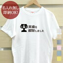 【即納 名入れ無し】 大人用 Tシャツ 誕生日プレゼント 実績を解除しました 実績解除 トロフィー アンロック ロック解除 トロコン ゲーム やり込み ゲーマー ゲーム好き 趣味 グッズ おもしろ 面白 メンズ レディース 春夏 メール便送料無料 ブランド