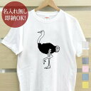 【即納 名入れ無し】 大人用 Tシャツ 誕生日プレゼント ダチョウ オーストリッチ 駝鳥 動物 グッズ おもしろ 面白 忘年会 余興 景品 メンズ レディース 春夏 メール便送料無料 ブランド