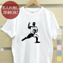 【即納 名入れ無し】 大人用 Tシャツ 誕生日プレゼント ピッチャー 投手 野球 ベースボール 草野球 野球好き 趣味 部活 野球部 グッズ おもしろ 面白 忘年会 余興 景品 メンズ レディース 春夏 メール便送料無料 ブランド
